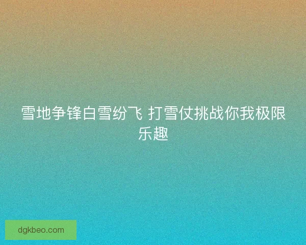 雪地争锋白雪纷飞 打雪仗挑战你我极限乐趣