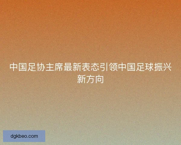 中国足协主席最新表态引领中国足球振兴新方向